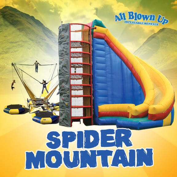 Rock Wall and Spider Climb with Slide