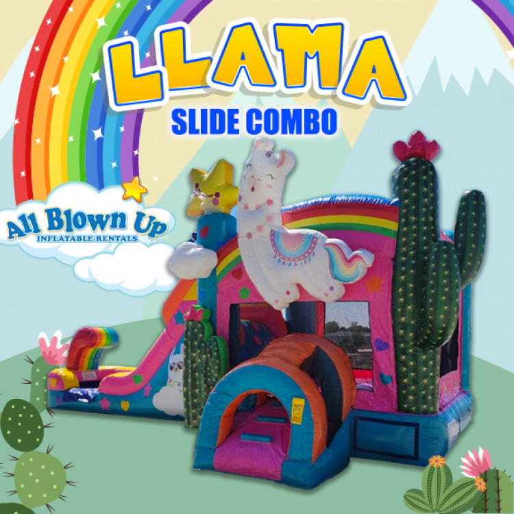 Llama Llama Slide Combo